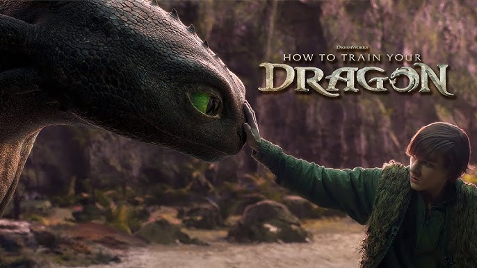 HOW TO TRAIN YOUR DRAGON -Vj Confidential