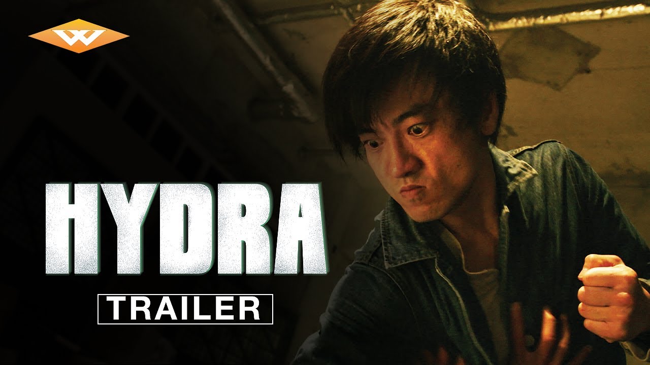 HYDRA-Vj Confidential